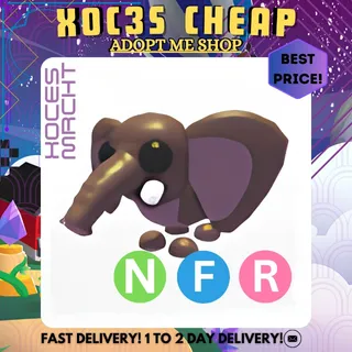NFR Bush Elephant
