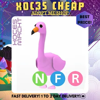 NFR Flamingo