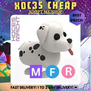 MFR Dalmatian