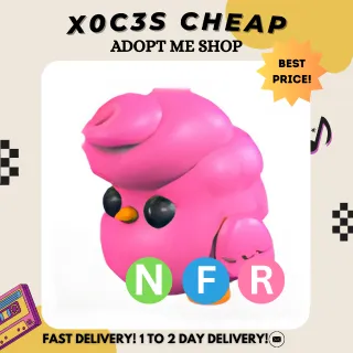 NFR CANDY FLOSS CHICK