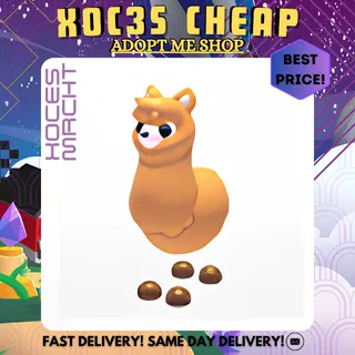 Alpaca