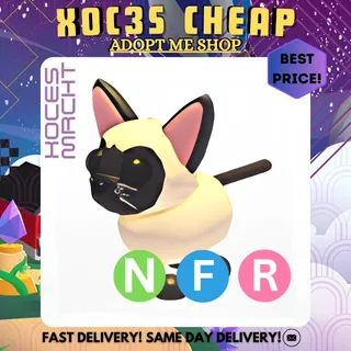 NFR Siamese Cat