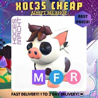 MFR Mini Pig