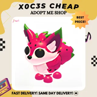 4X DRAGONFRUIT FOX