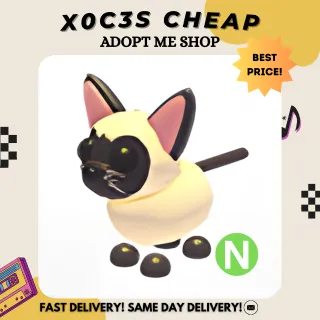 NEON SIAMESE (NO POTION)