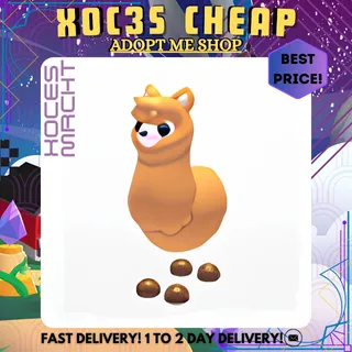 4x Alpaca