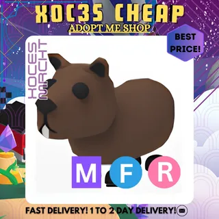 MFR Capybara