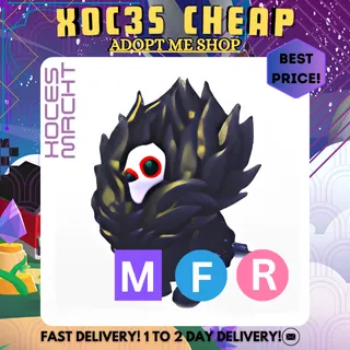 MFR Jacobin Pigeon