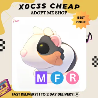 MFR TORTOISESHELL GUINEA PIG