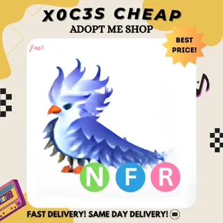NFR FROST PHOENIX