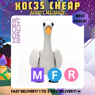 MFR Swan