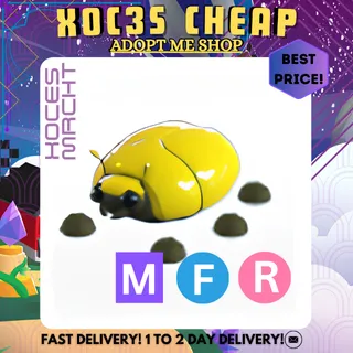 MFR Giant Golden Scarab