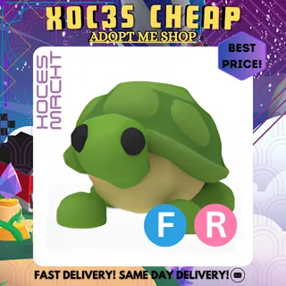 FR Turtle