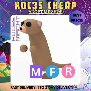 MFR Meerkat