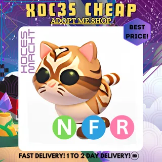 NFR Catte