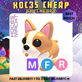 MFR French Bulldog