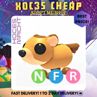 NFR Groundhog