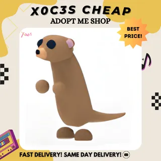 MEERKAT