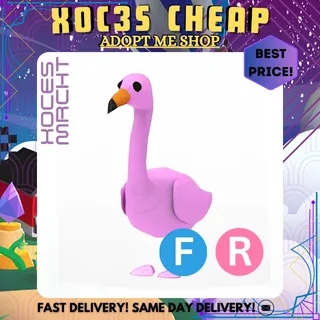 FR Flamingo