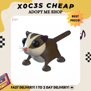 4X SUGAR GLIDER