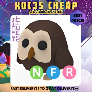 NFR Owl