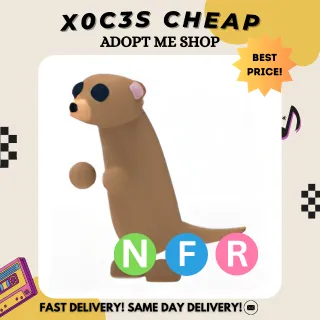 NFR MEERKAT