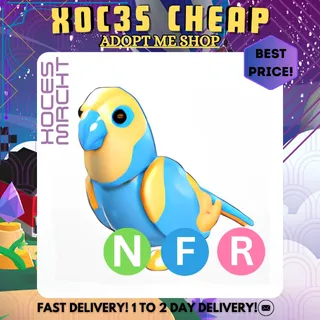 NFR Diamond Amazon