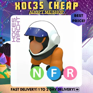 NFR Astronaut Gorilla