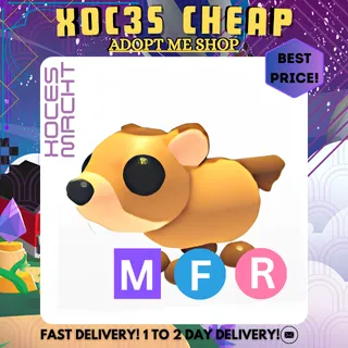 MFR Groundhog