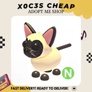 NEON SIAMESE (NO POTION)