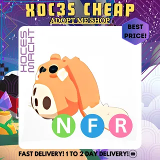 NFR Cabbit