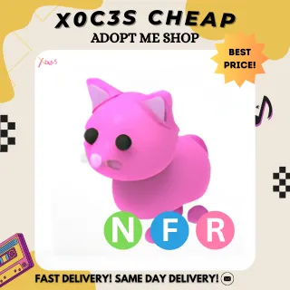 NFR PINK CAT