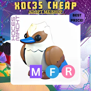 MFR Kookaburra