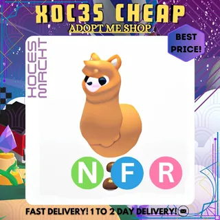 NFR Alpaca