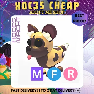 MFR African Wild Dog