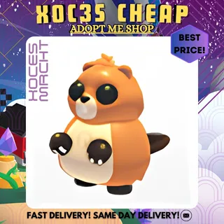 16x Ranger Beaver