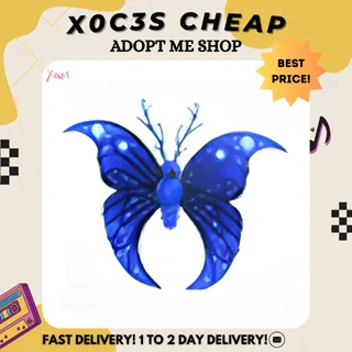 4X MOONBEAM BUTTERFLY