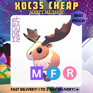 MFR Papa Moose