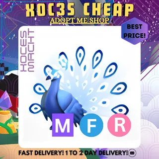 MFR Moonbeam Peacock