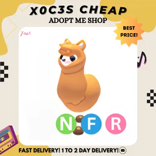 NFR ALPACA