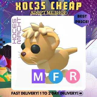 MFR Lion Cub