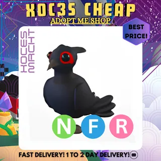 NFR Black Chested Pheasant