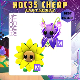 MEGA Violet Friend & MEGA Sunflower Friend 
