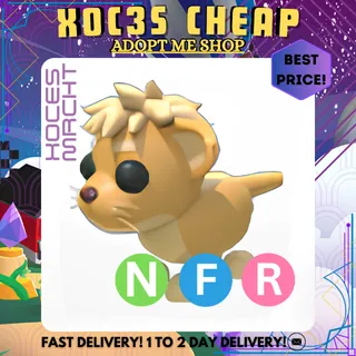 NFR Lion Cub