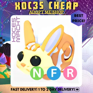 NFR Bunny Swirl