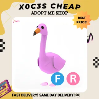 FR FLAMINGO