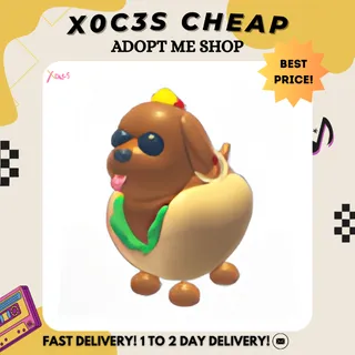 4X HOT DOGGO