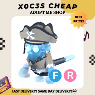 FR PIRATE GHOST CAPUCHIN MONKEY