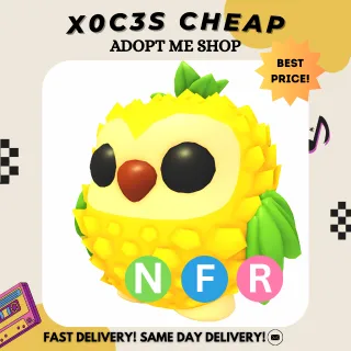 NFR PINEAPPLE OWL