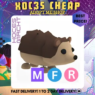 MFR Hedgehog
